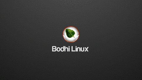 LinuxRevival-USA