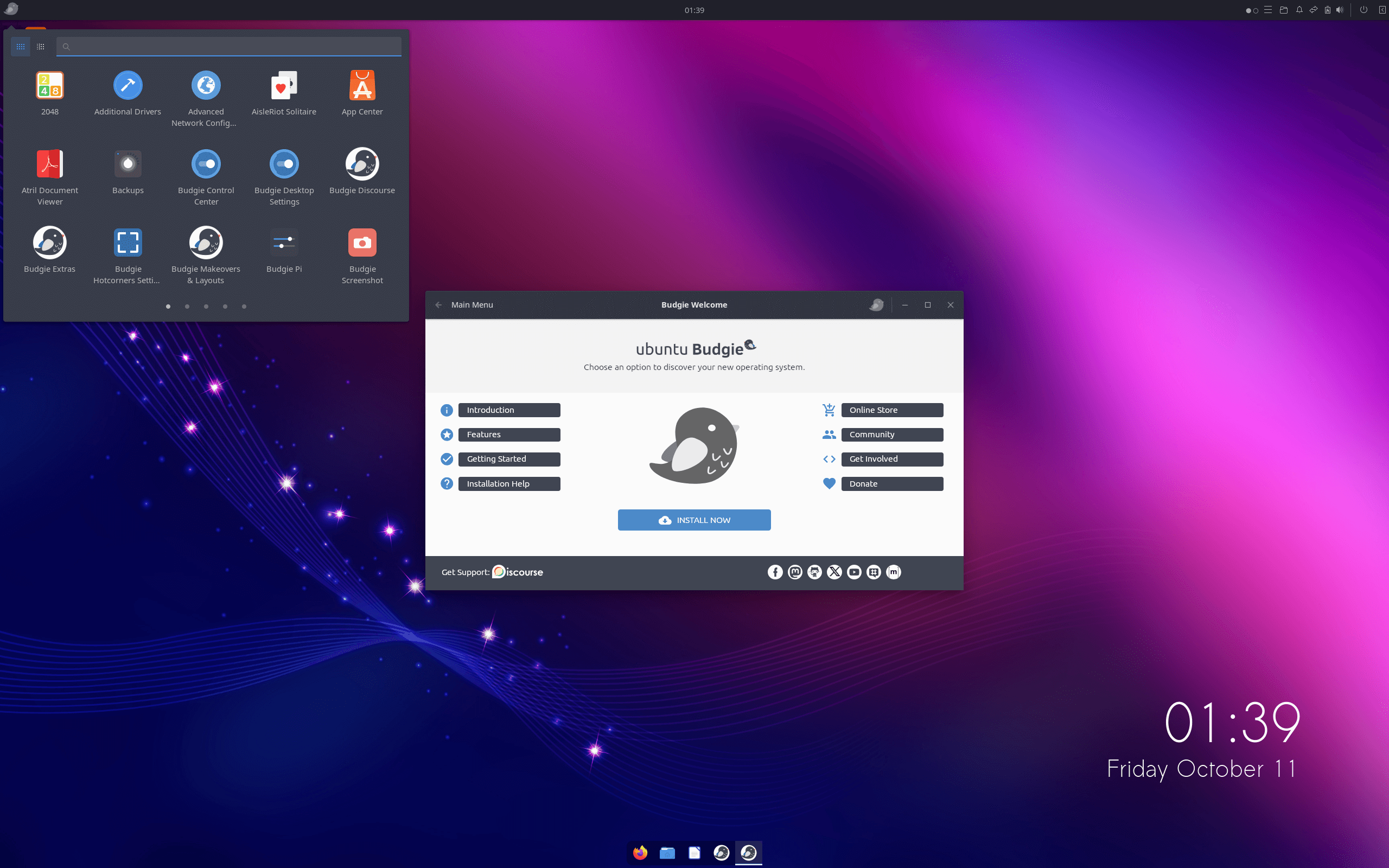 Budgie24USB-USA